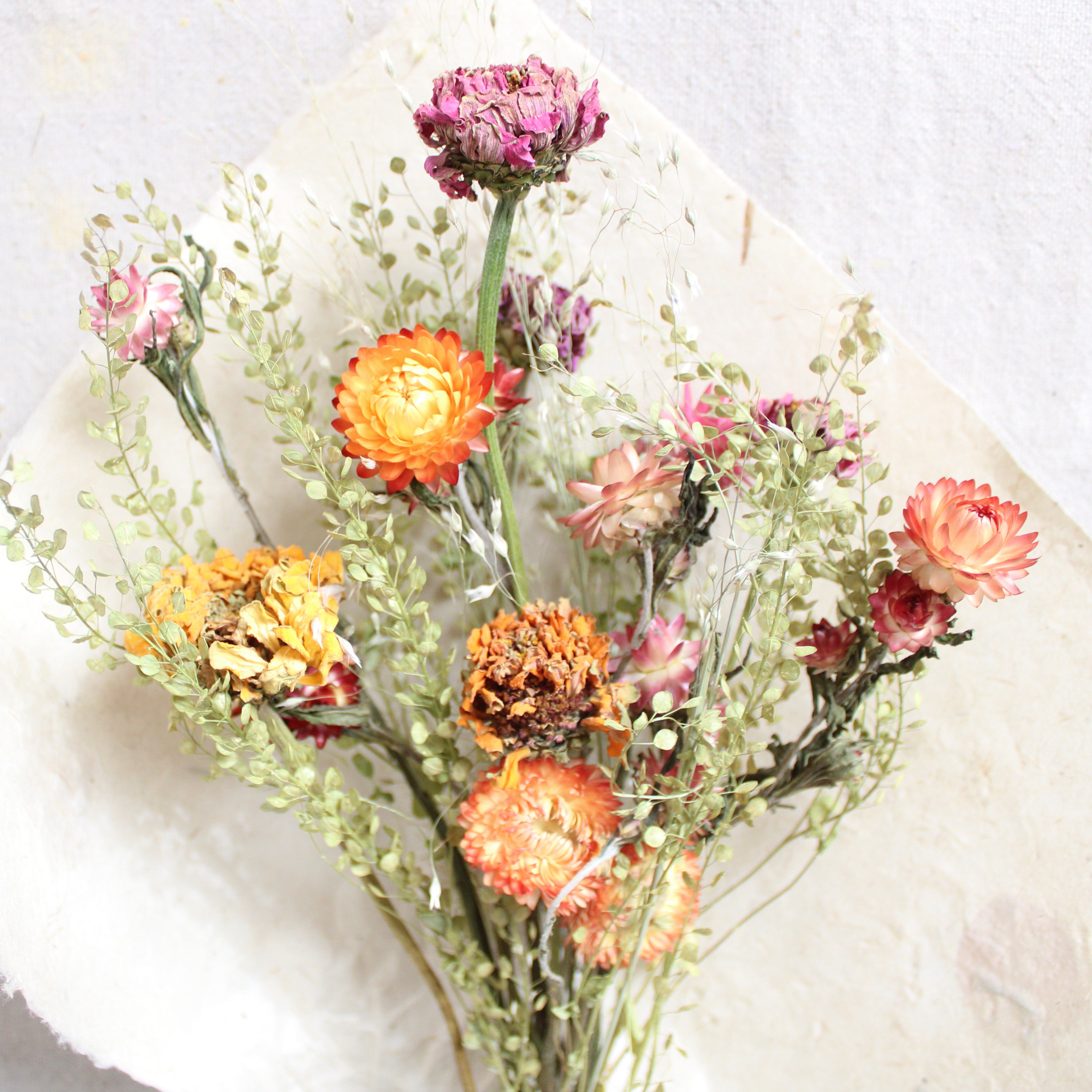 collection-banner-image