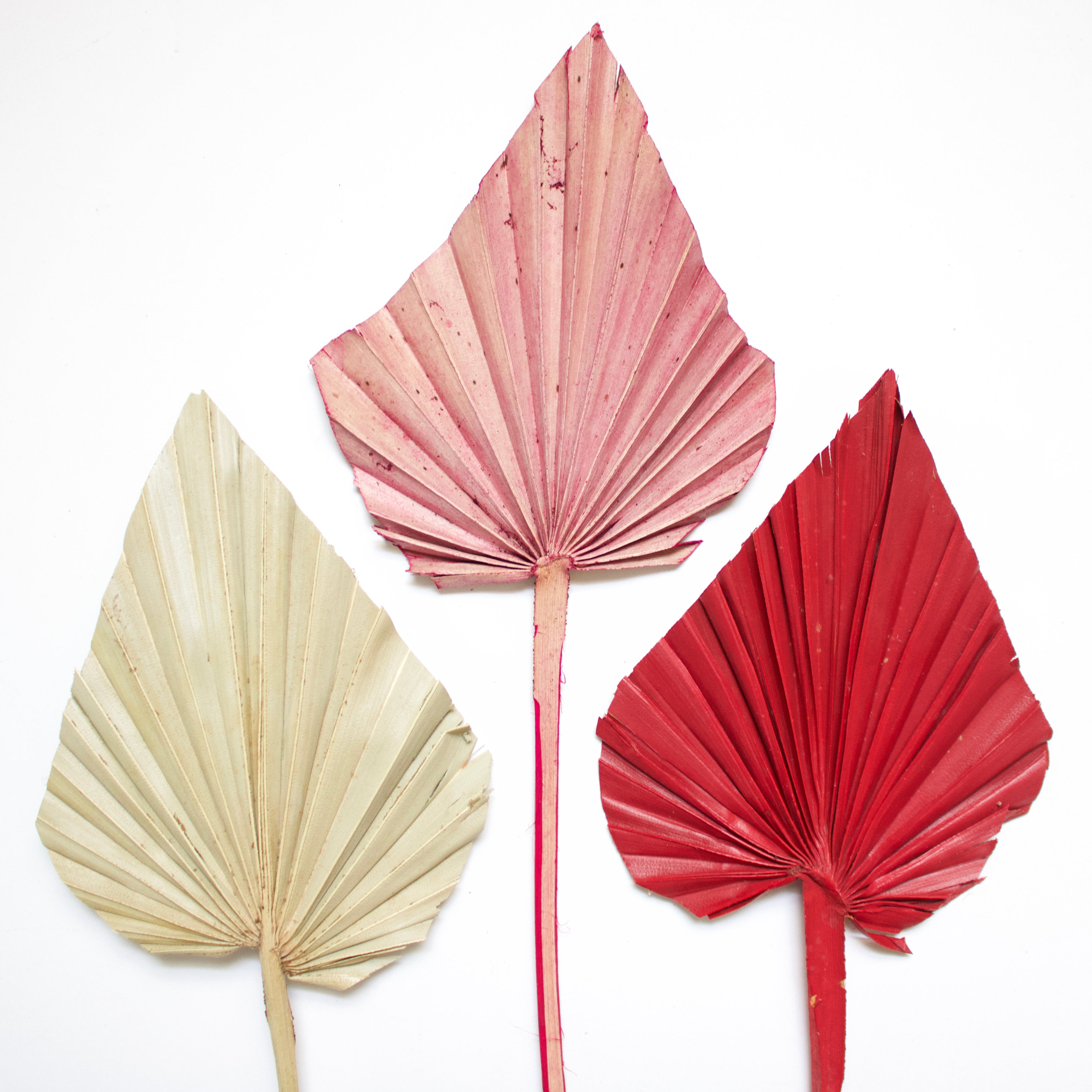 slider image slider_item_s9Qkmv